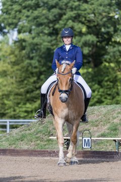 Bild 216 - Pony Akademie Turnier